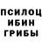 Псилоцибиновые грибы прущие грибы El Te