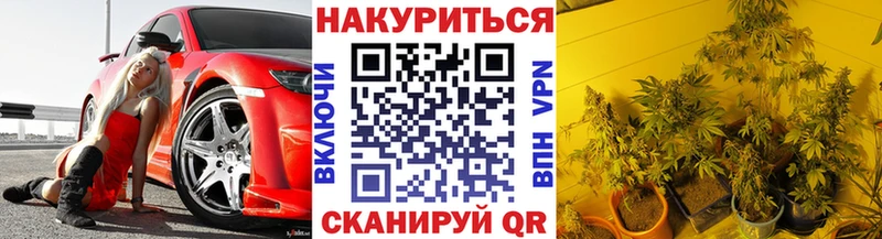 Каннабис конопля  Сатка 