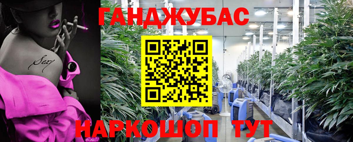 Канабис THC 21%  Конопля VHQ  Канабис семена  Канабис конопля  Вход с VPN  Сатка 